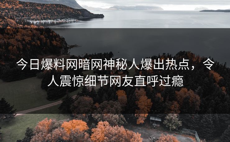 今日爆料网暗网神秘人爆出热点，令人震惊细节网友直呼过瘾