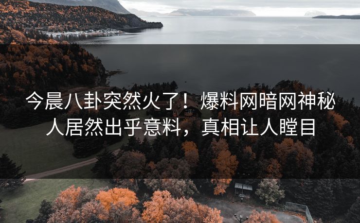 今晨八卦突然火了！爆料网暗网神秘人居然出乎意料，真相让人瞠目