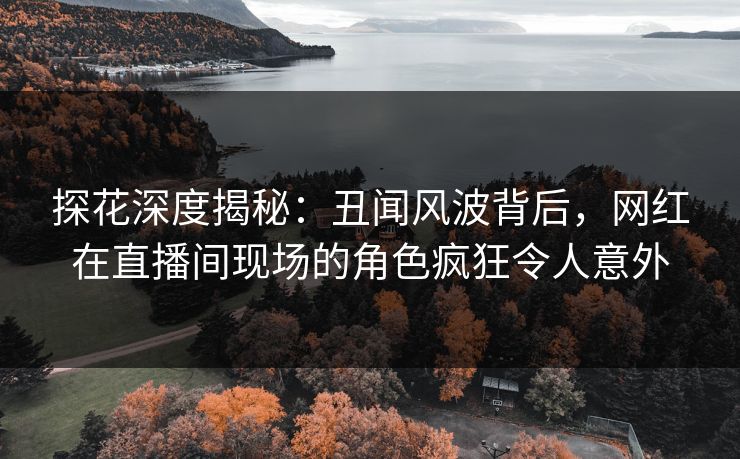 探花深度揭秘：丑闻风波背后，网红在直播间现场的角色疯狂令人意外