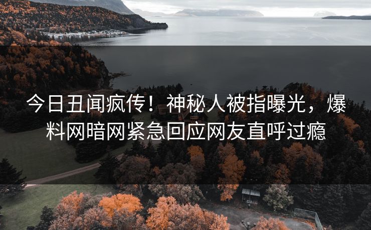 今日丑闻疯传！神秘人被指曝光，爆料网暗网紧急回应网友直呼过瘾