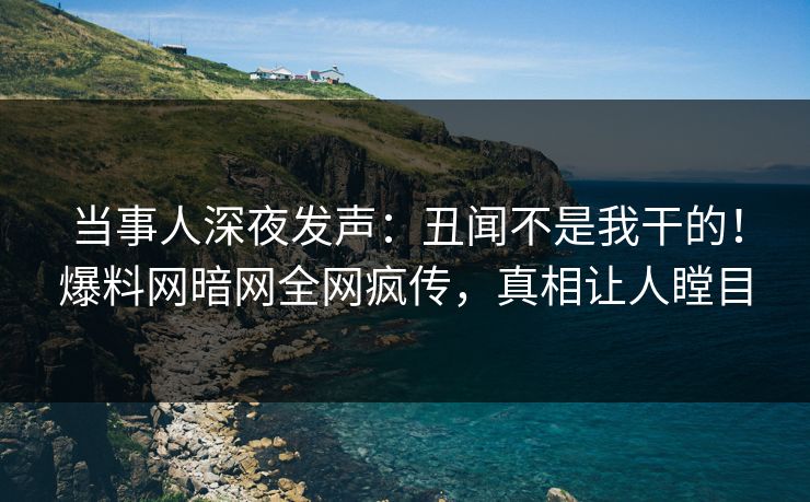 当事人深夜发声：丑闻不是我干的！爆料网暗网全网疯传，真相让人瞠目