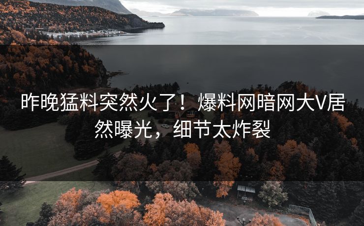 昨晚猛料突然火了！爆料网暗网大V居然曝光，细节太炸裂