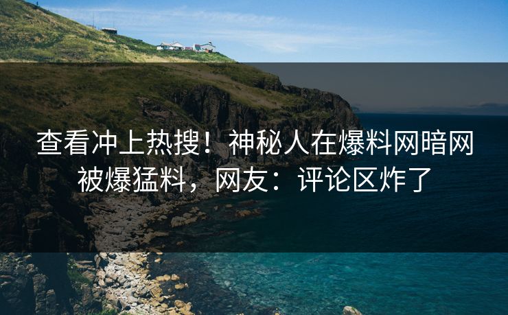 查看冲上热搜！神秘人在爆料网暗网被爆猛料，网友：评论区炸了