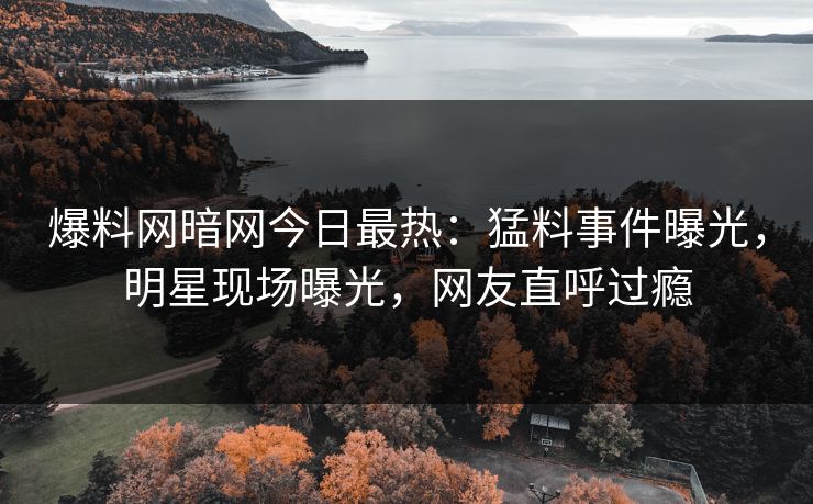 爆料网暗网今日最热：猛料事件曝光，明星现场曝光，网友直呼过瘾