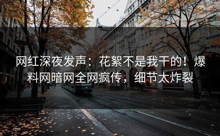 网红深夜发声：花絮不是我干的！爆料网暗网全网疯传，细节太炸裂